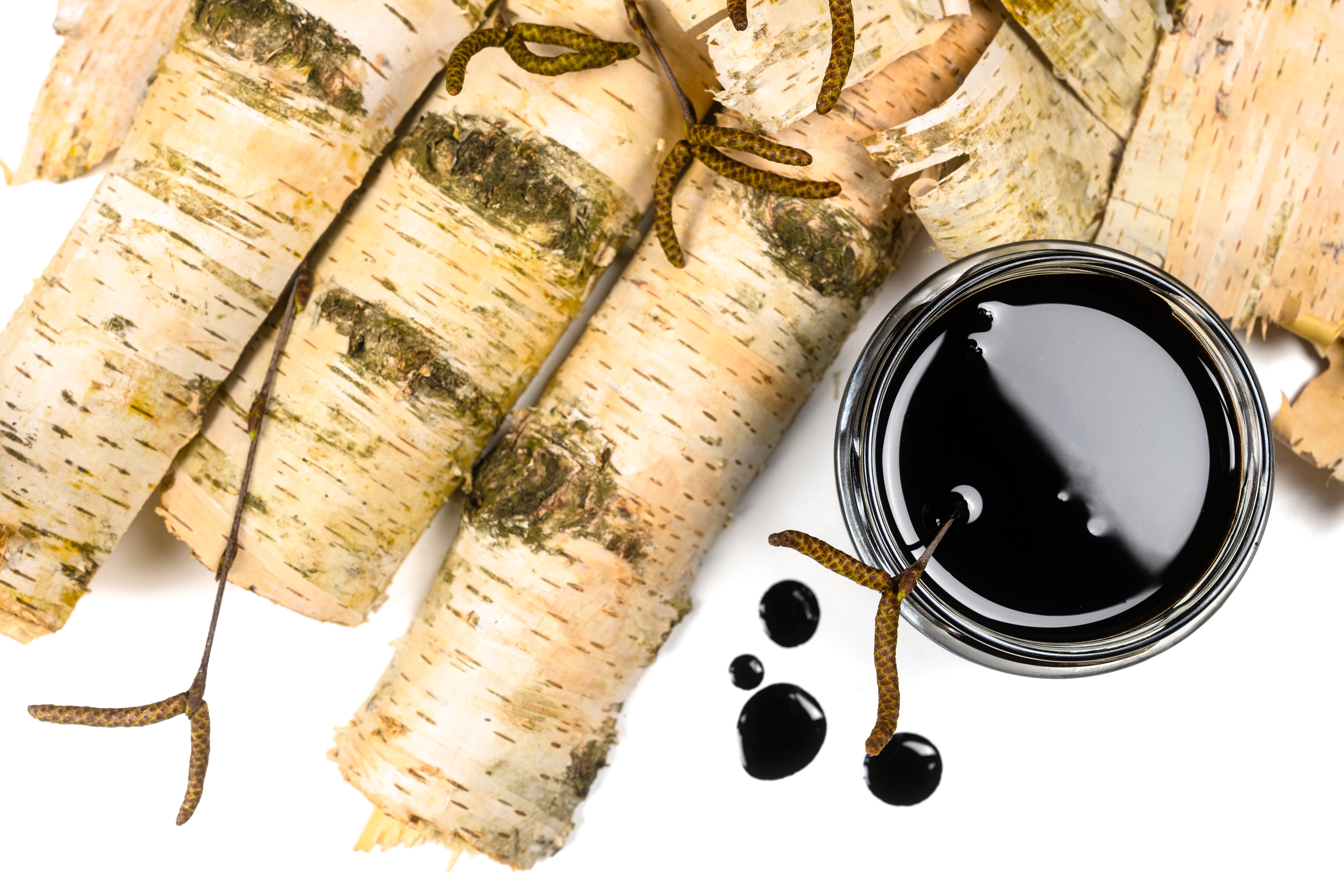 The Birch Knew First: Birch Tar in North America