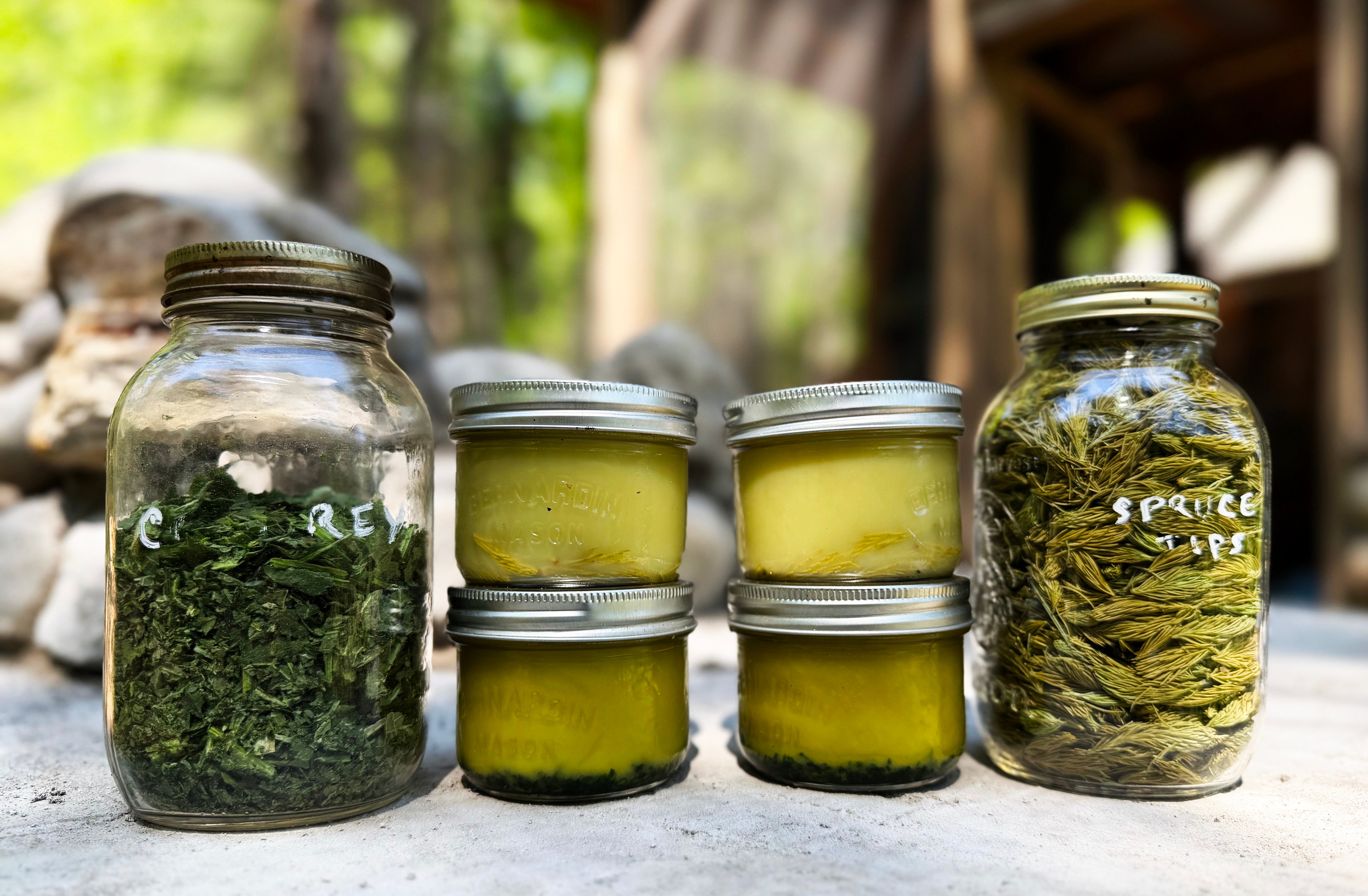 Two Salves From the Land: Spruce Tip and Comfrey, Infused in Bear Grease