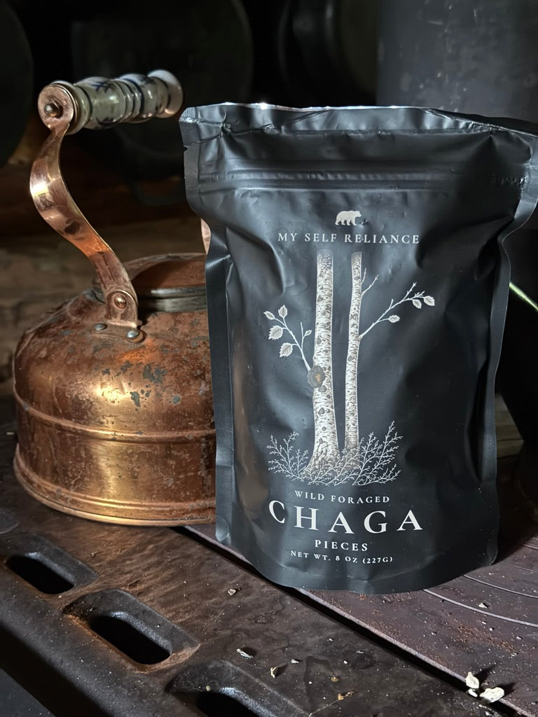 Chaga Starter Bundle - 1 of each bag of Pieces and Powder