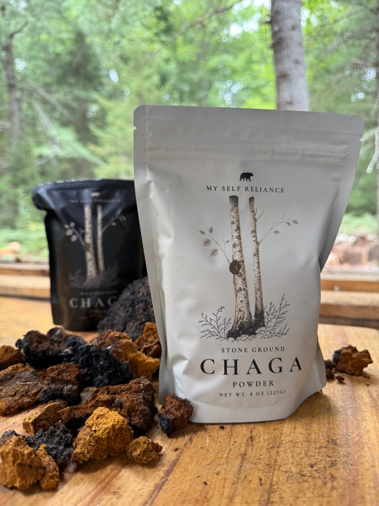 Chaga Starter Bundle - 1 of each bag of Pieces and Powder