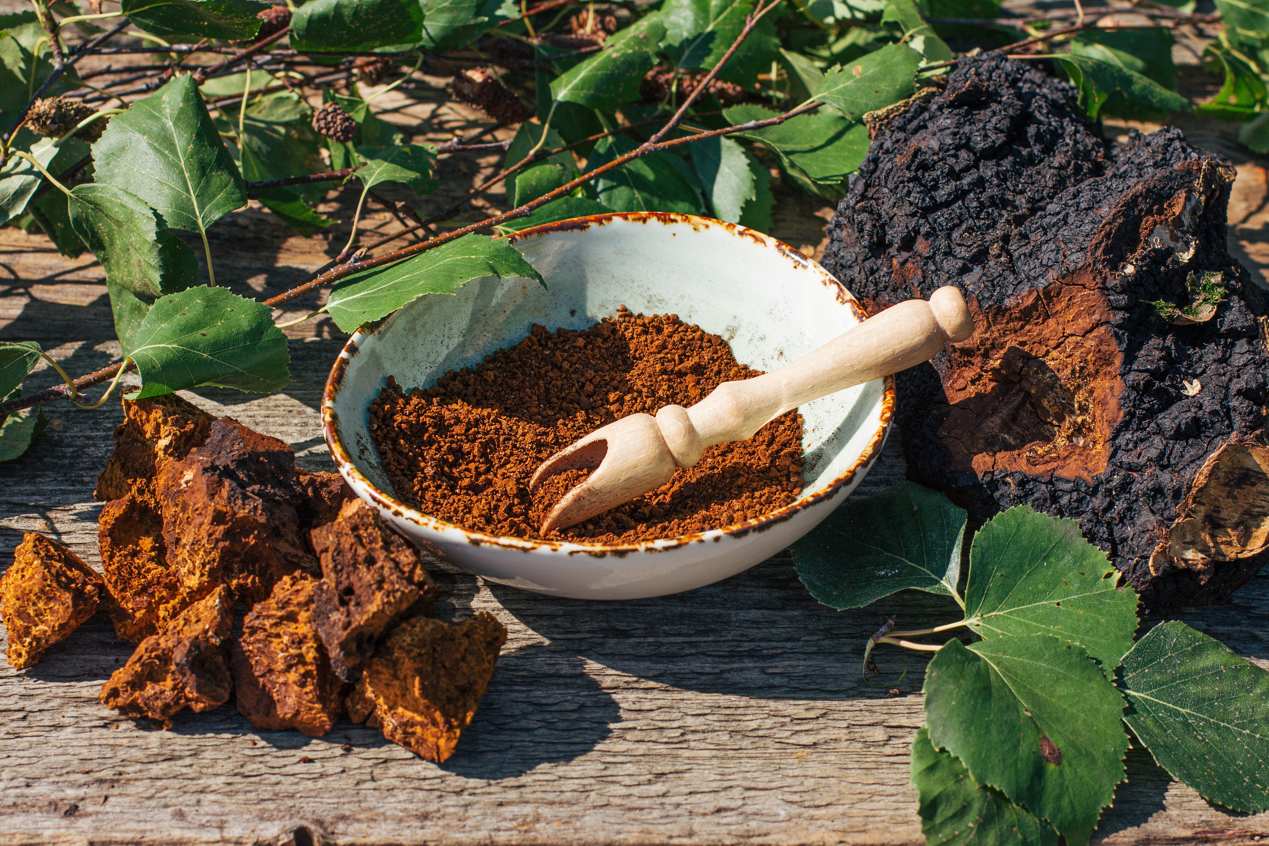 A ceramic bowl filled with brown herbal powder or tea, with a small wooden scoop resting inside, surrounded by green leaves, bark, and loose brown pieces on a weathered wooden surface.