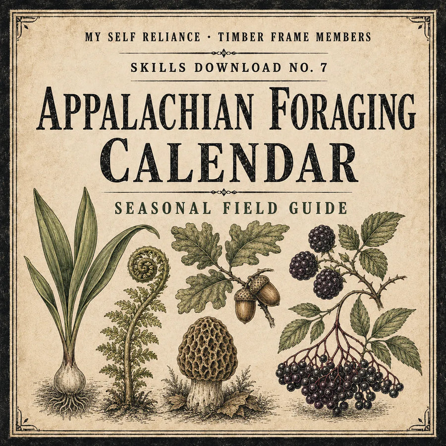 Appalachian Foraging Calendar