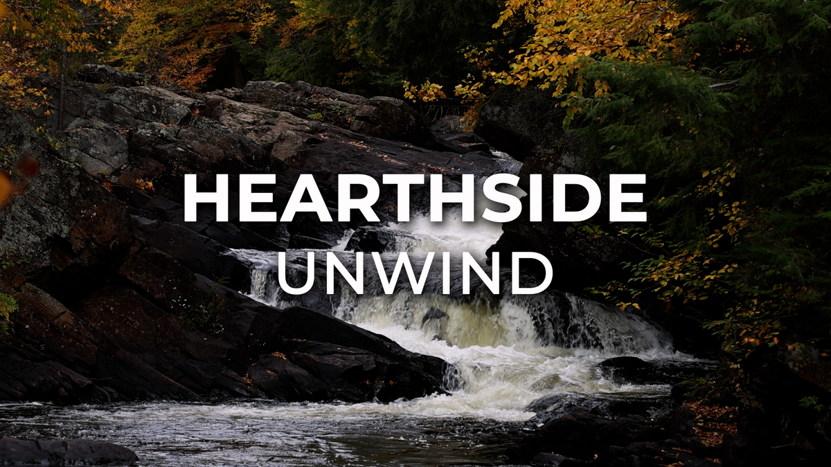 Cabin Life in the Woods: A Season of Change