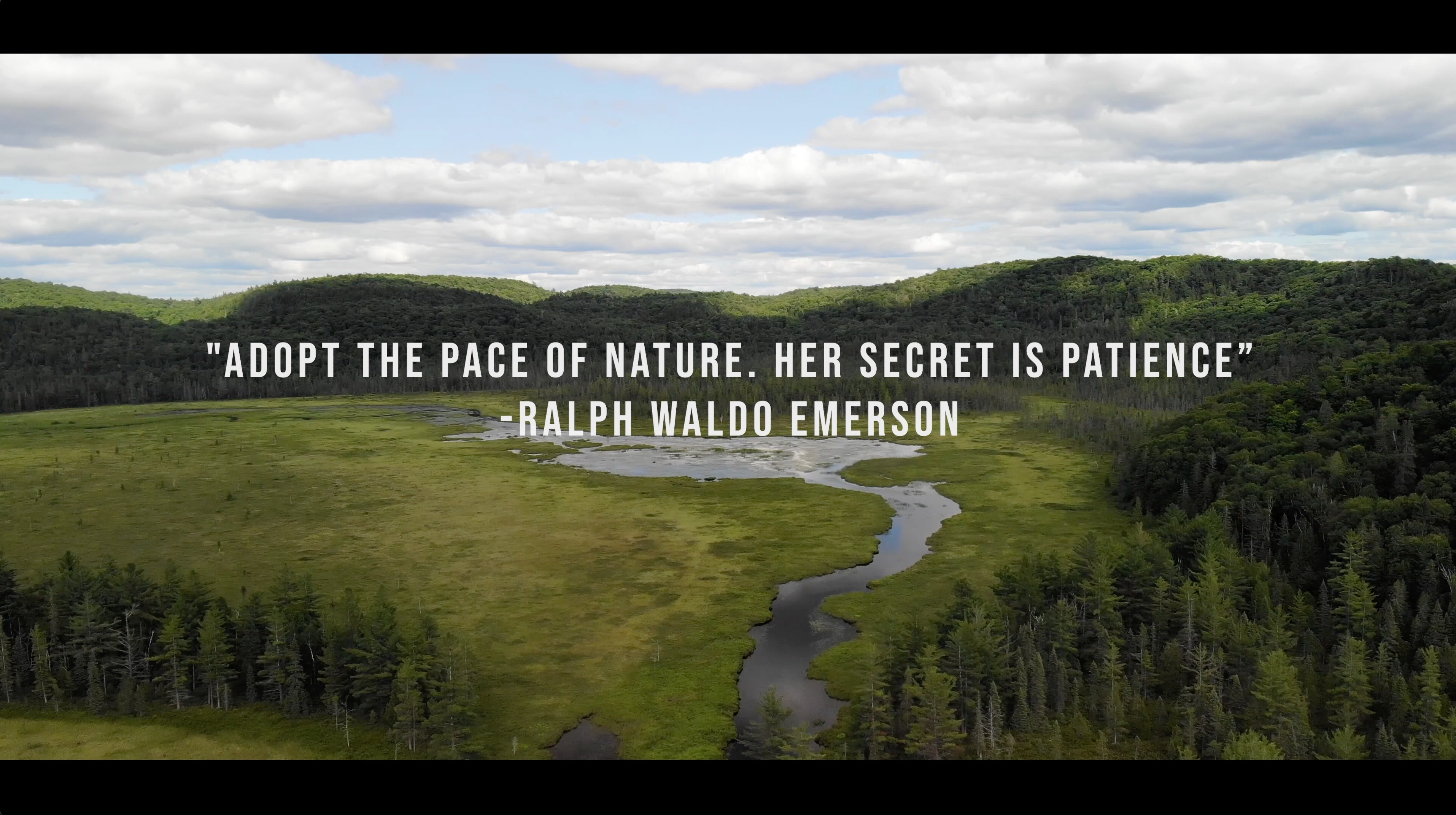 Paddling and Flying Through the Wilderness Near the Cabin in July