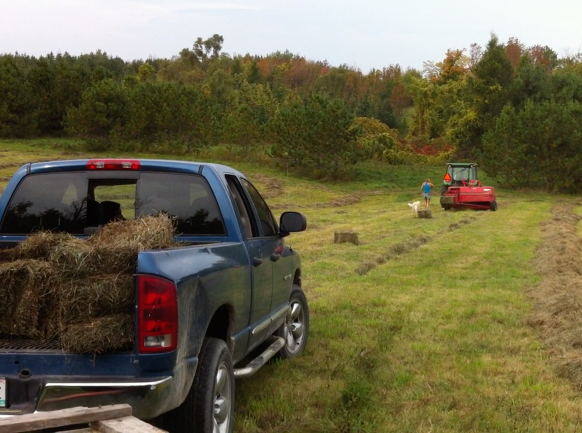 Money & Financial Discipline: The Paid-Off Truck Principle