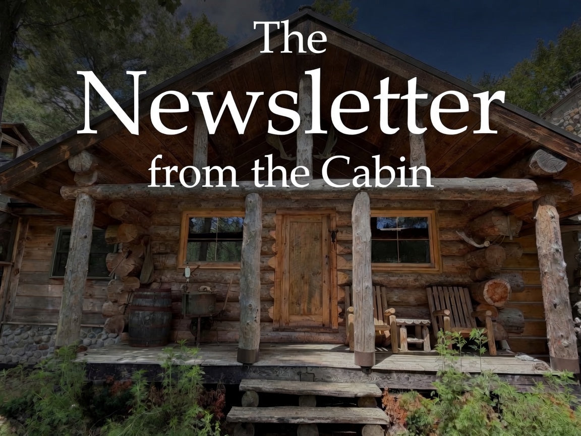 The Newsletter