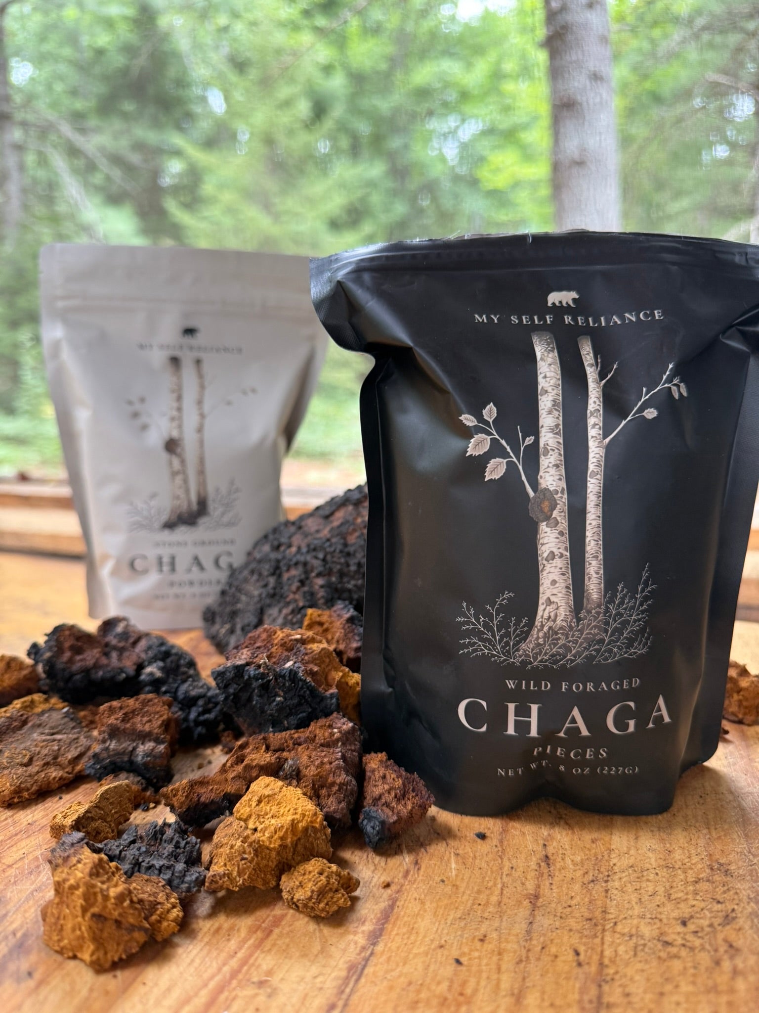 Chaga Starter Bundle - 1 of each bag of Pieces and Powder