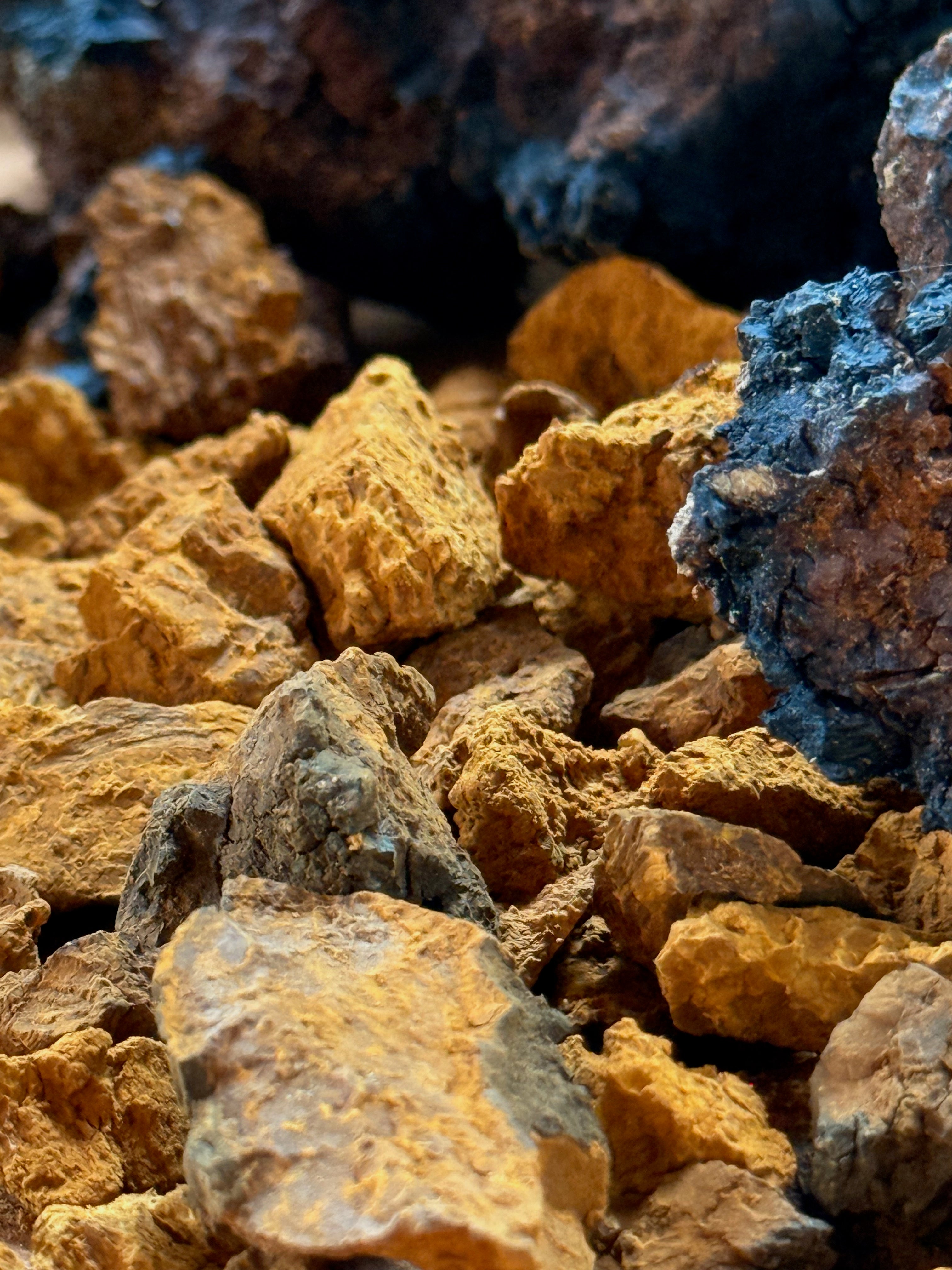 2 Bags of Chaga Pieces - Wild Harvested Chaga, 16oz