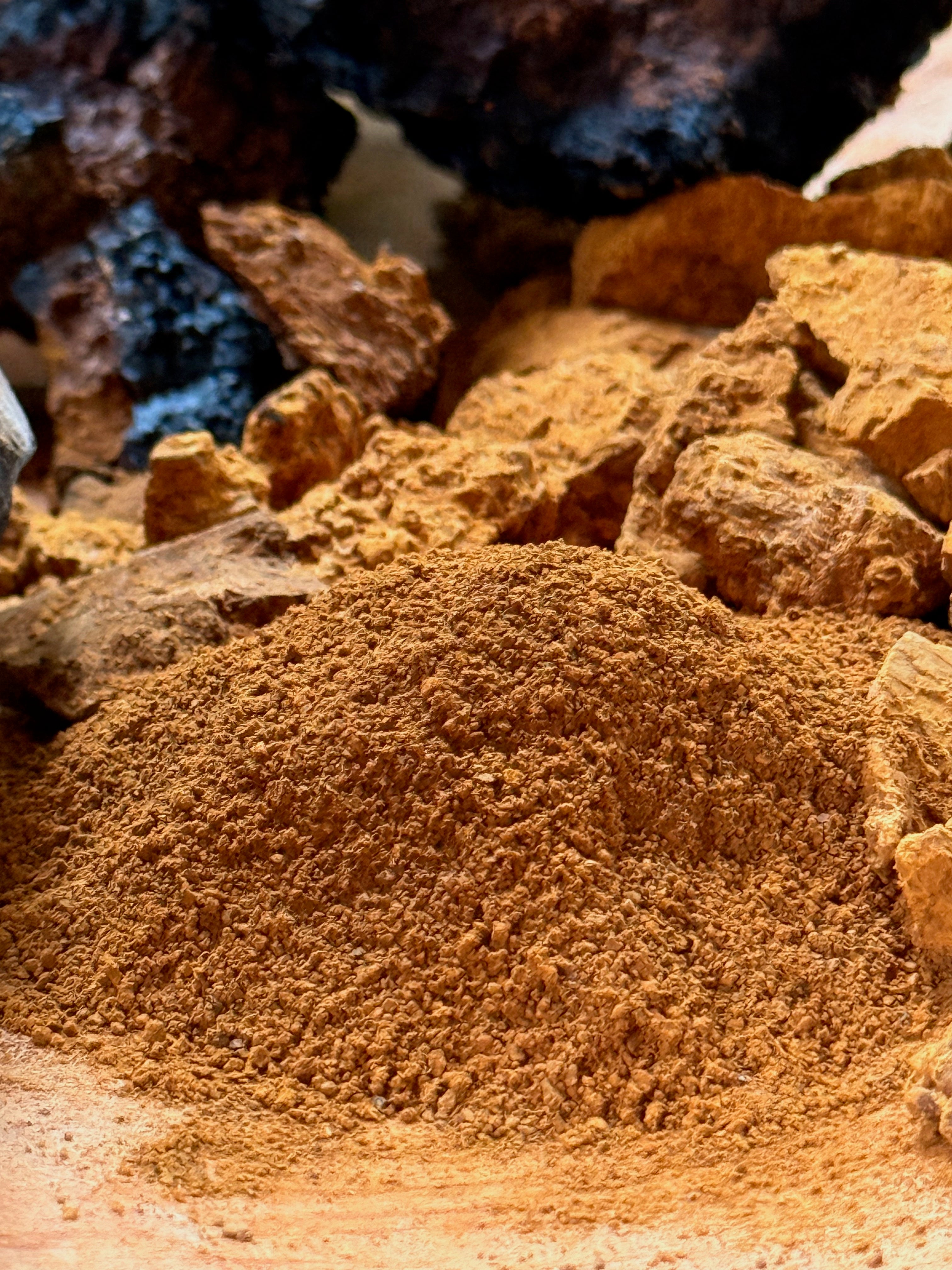 Chaga Powder – Wild Harvested Canadian Chaga, 8oz