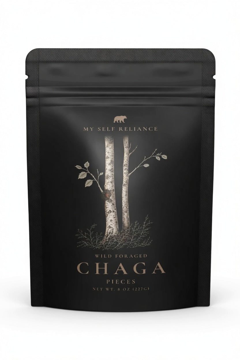 chaga pieces– Wild Harvested Canadian Chaga, 8 oz